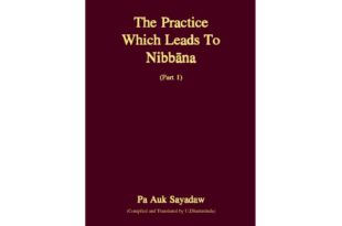 thumbnail of the-practice-that-leads-to-nibbana1